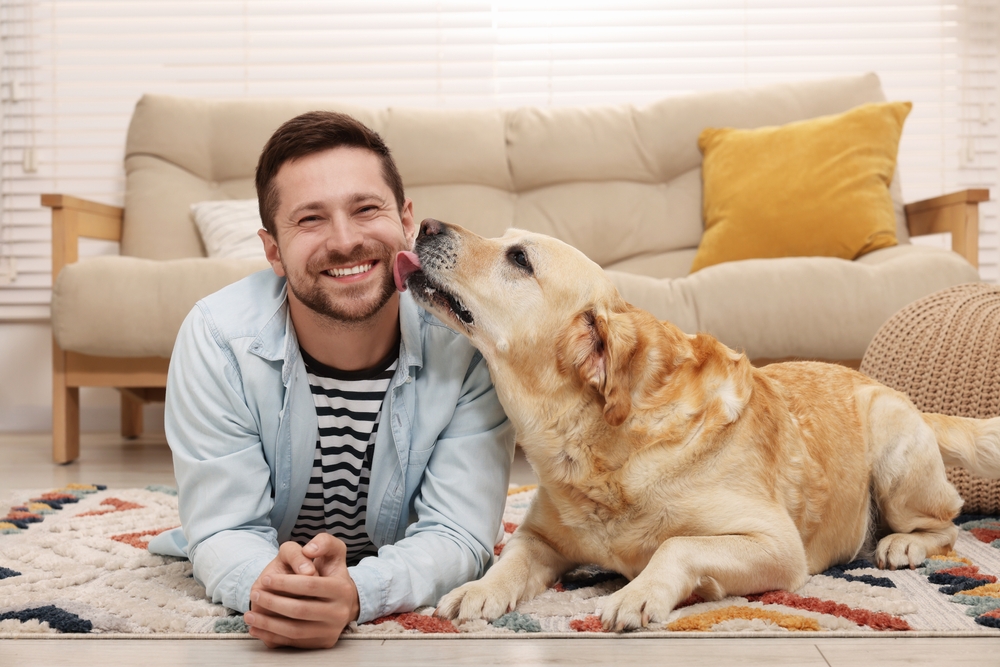 Brave Things Dogs Do