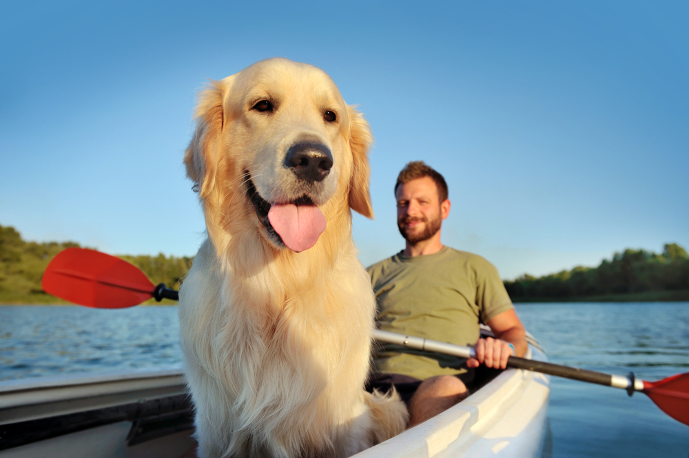 Dog Bonding Tip