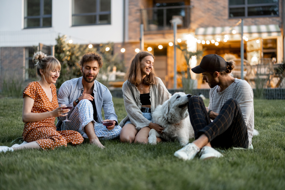Fun Dog Behavior