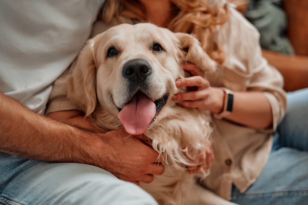 Fun Dog Behavior