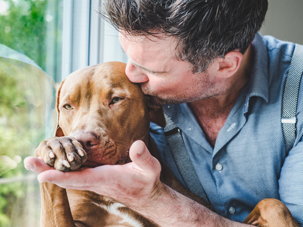 clingy dog breeds