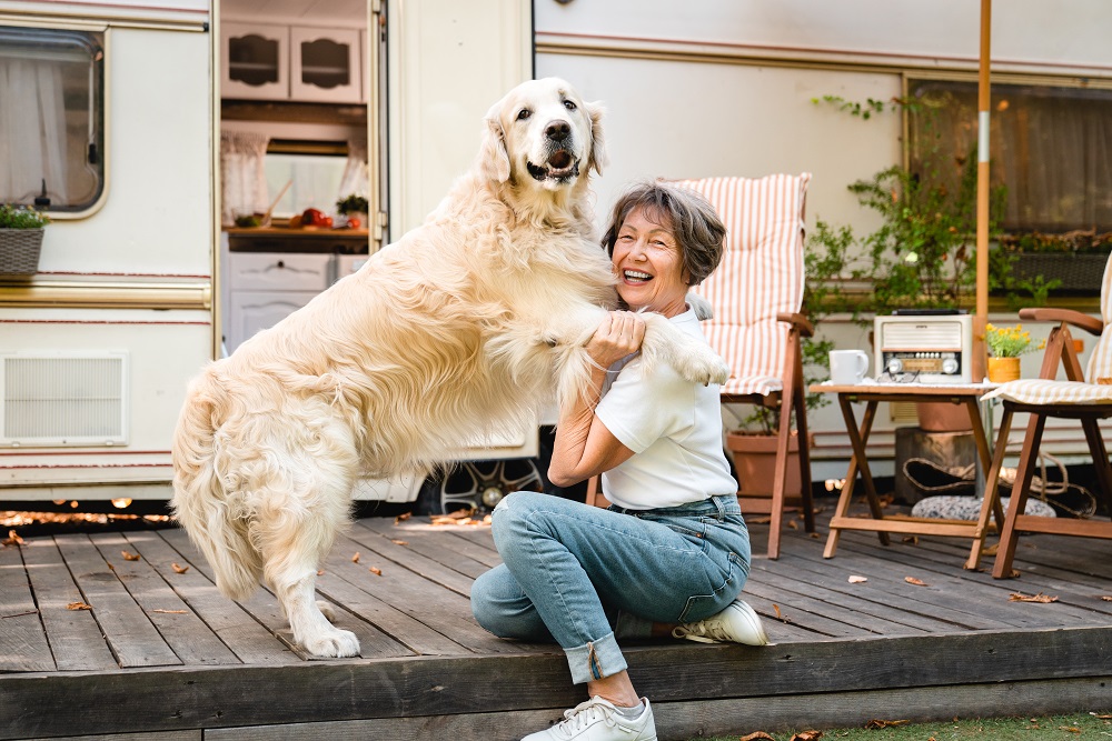 People with anxiety, emotional support dogs