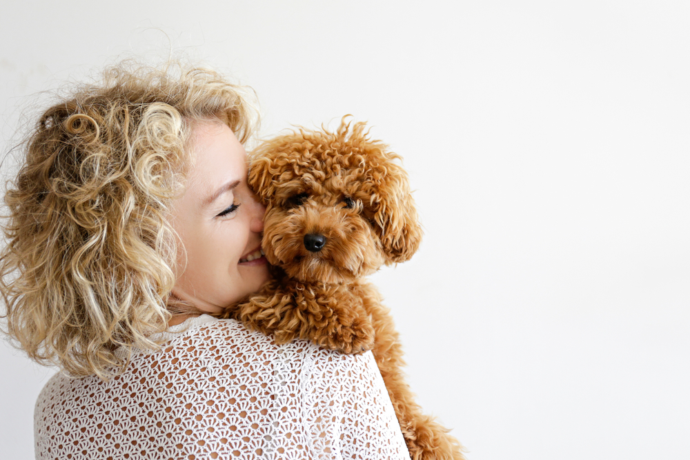 dog trust 