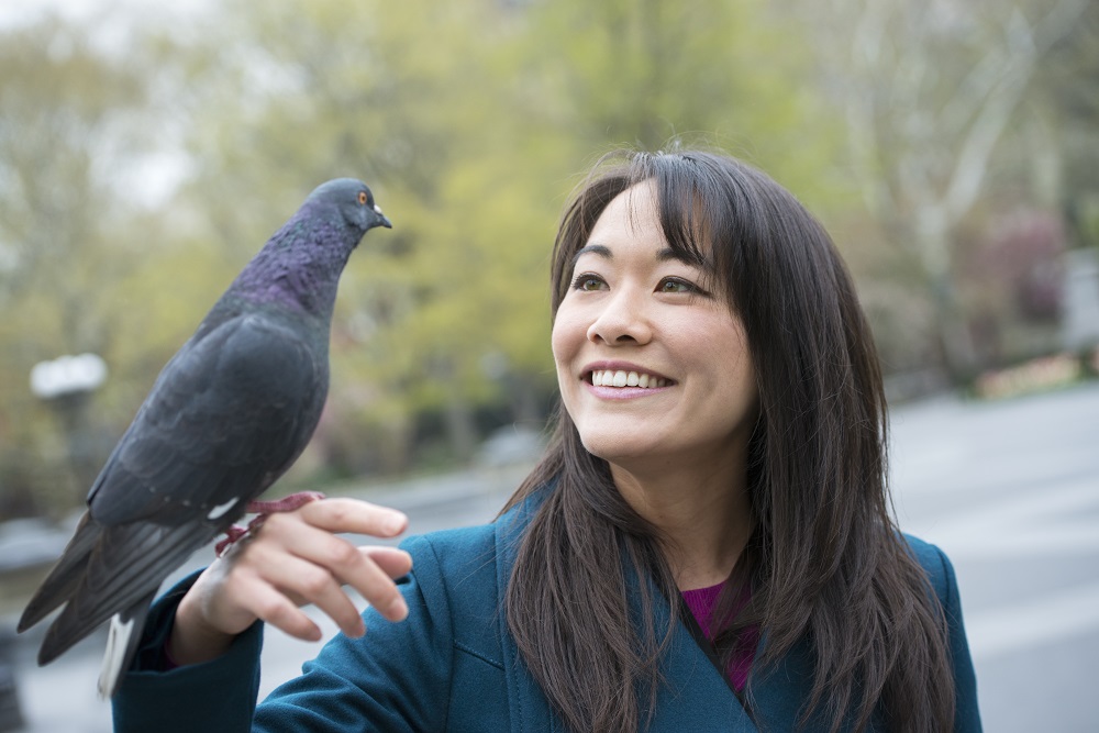beautiful birds
