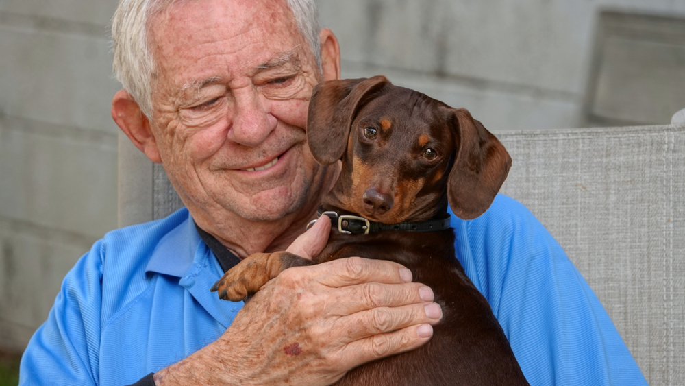 Longest-Living Dog Breeds