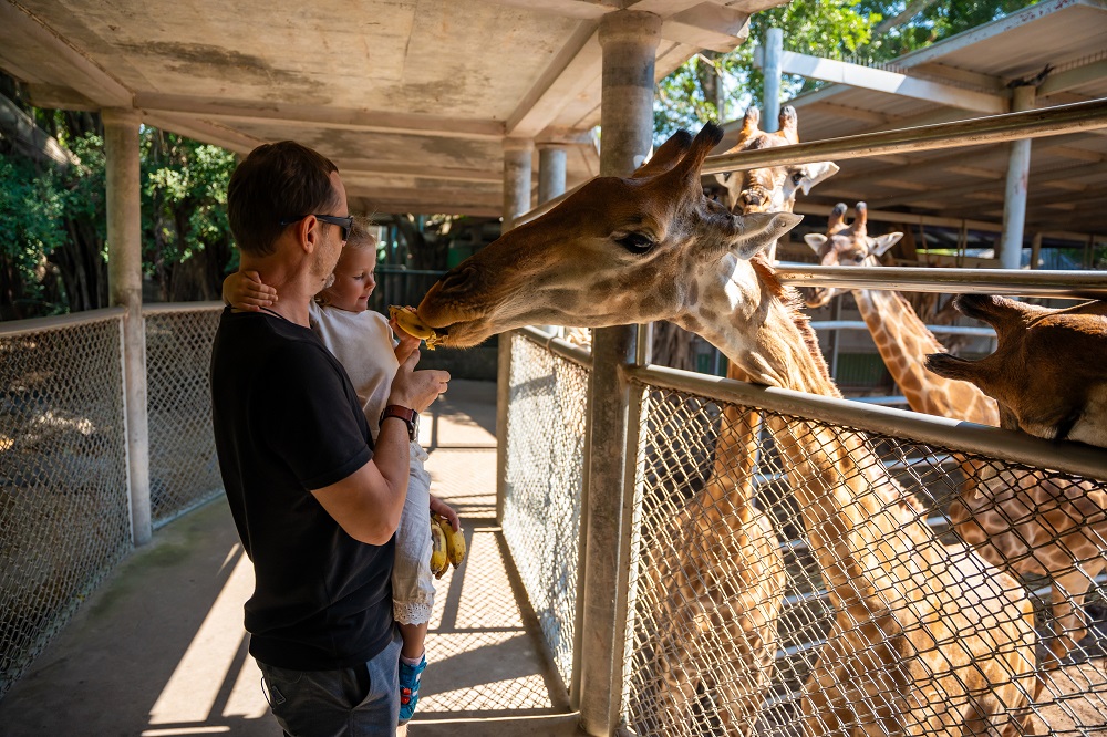 never do in a zoo