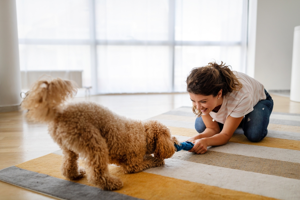 Bond Between Dogs And Humans