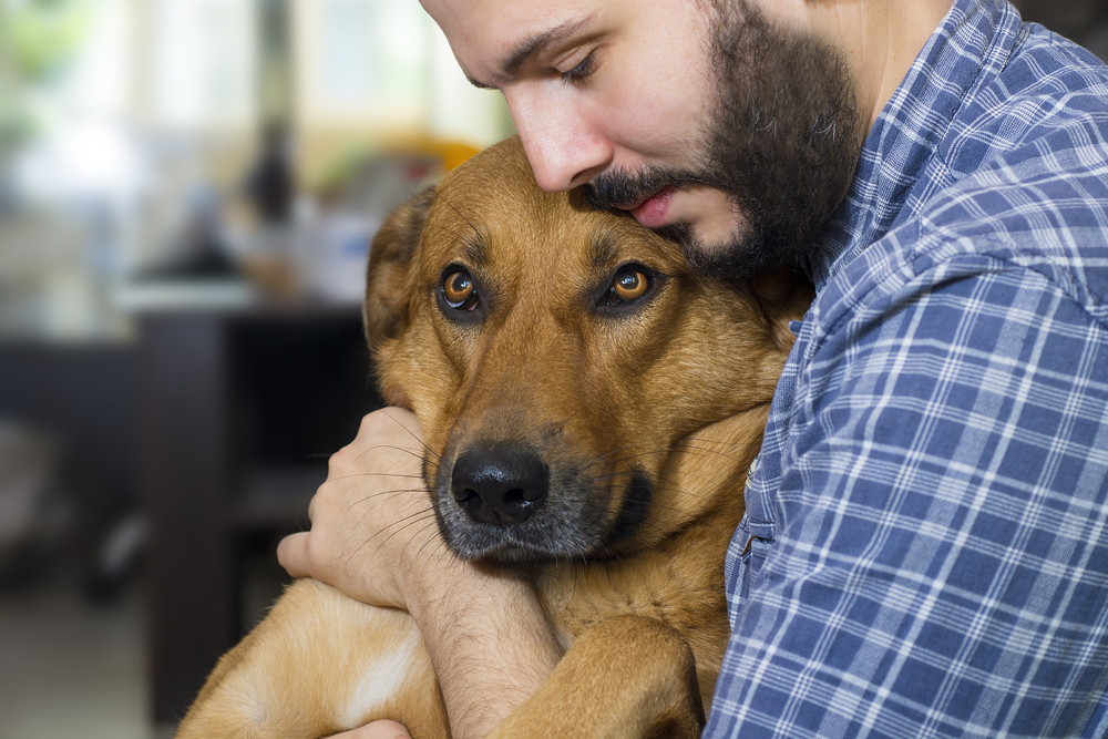Bond Between Dogs And Humans