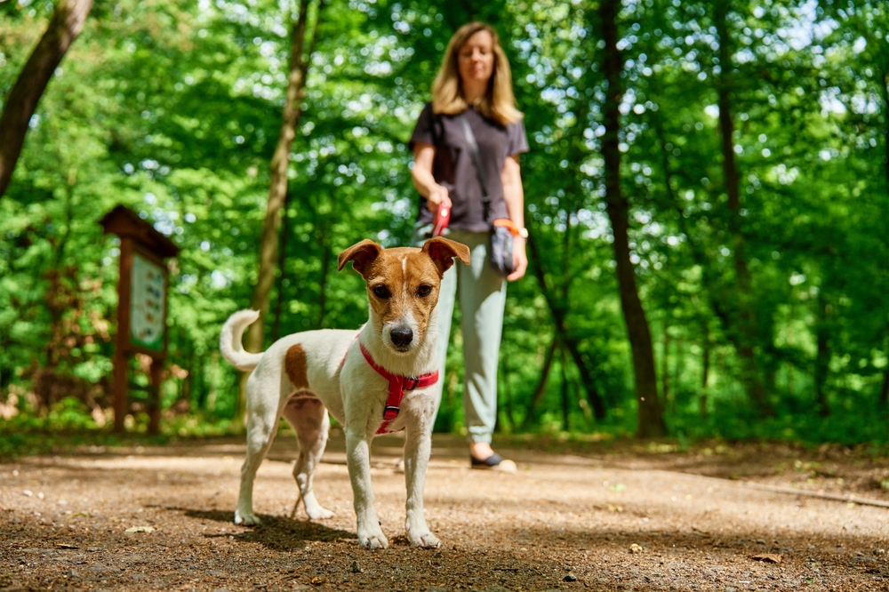 Dog-Friendly RV Park