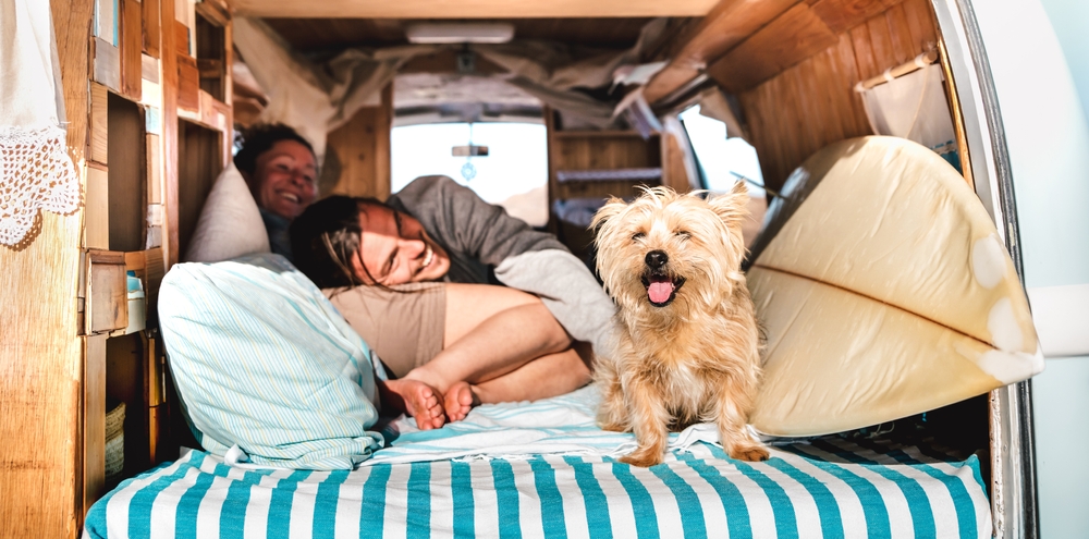Dog-Friendly RV Park