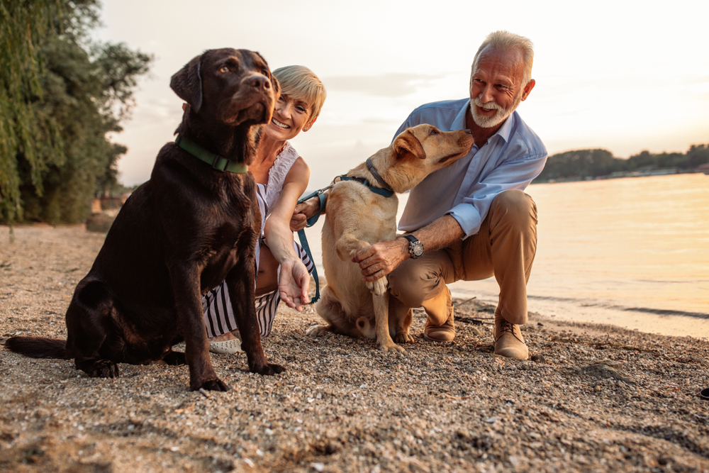 Dog-Friendly RV Park