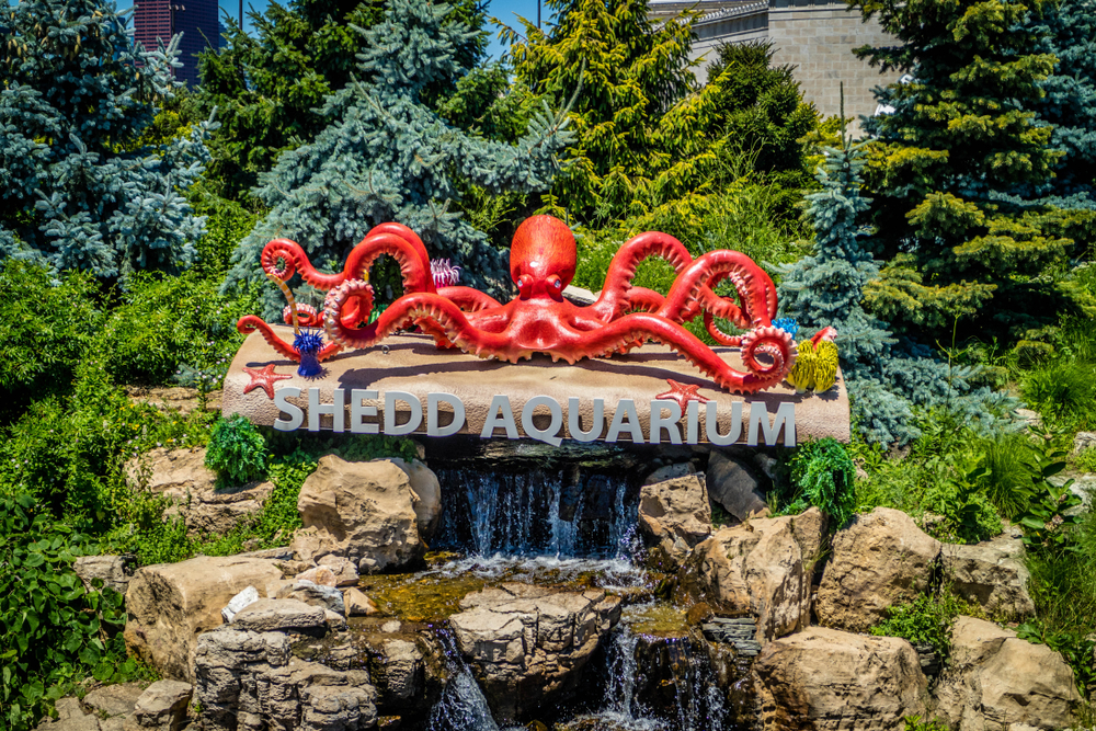 Aquariums