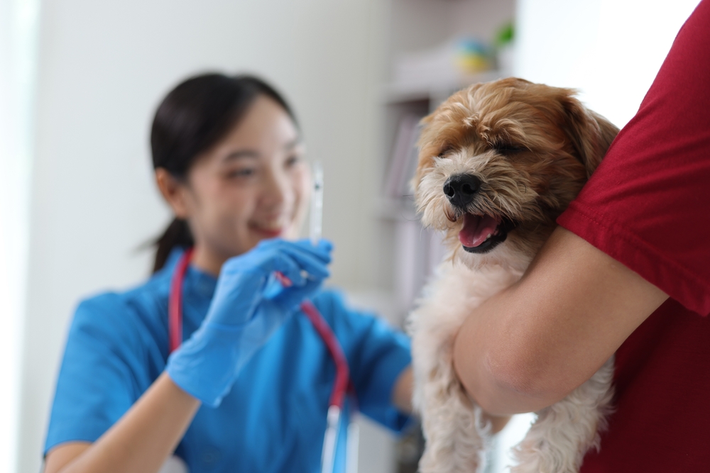 pet first aid 