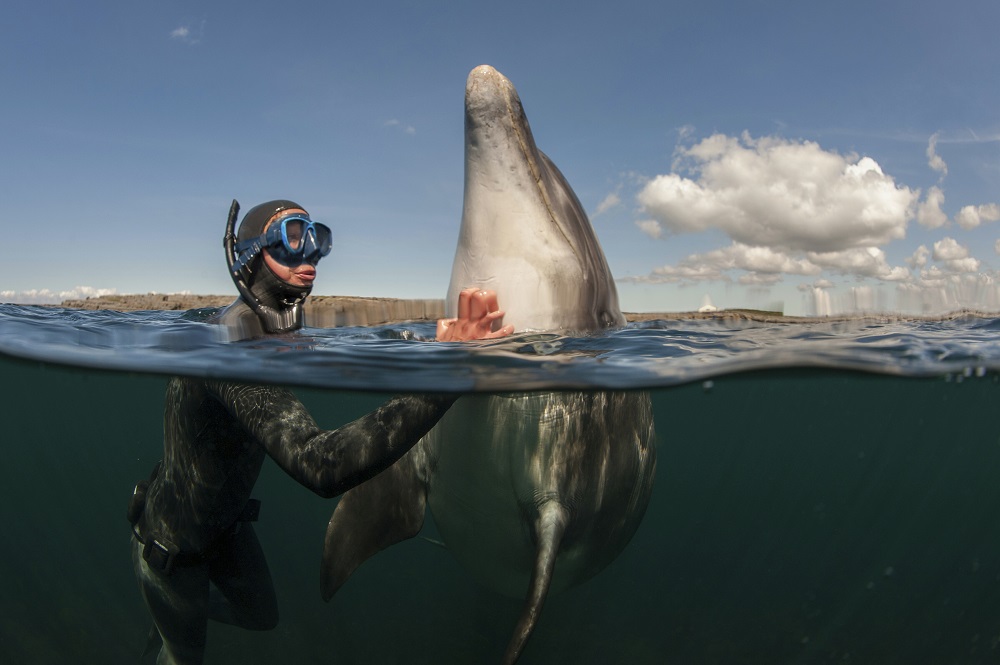 wild animals that are surprisingly friendly with humans