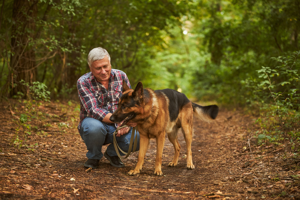 Common Dog Myth