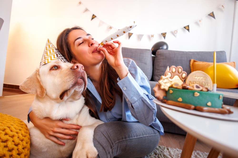 Common Dog Myth