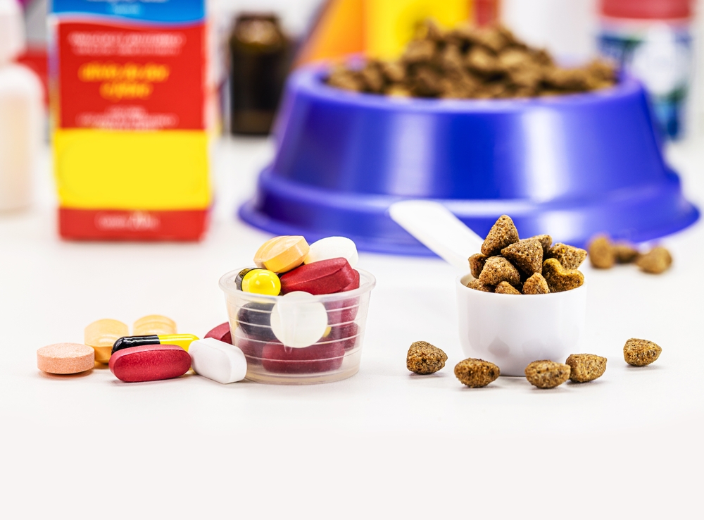 pet medication