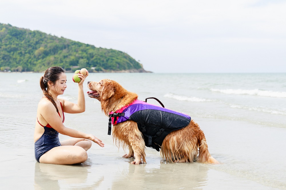 sun protectants for dogs