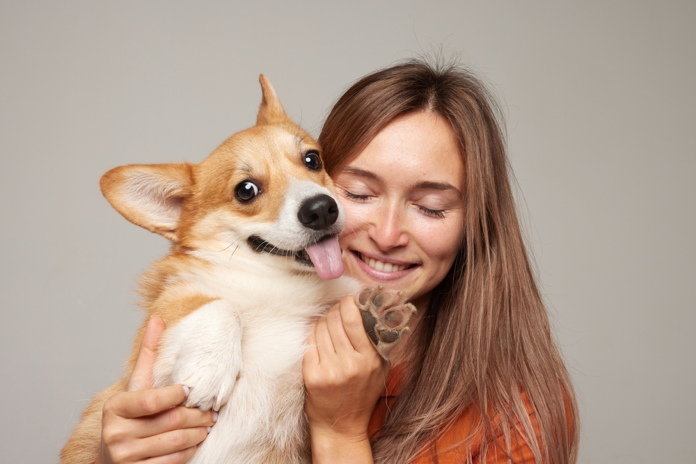 Pet, Adoption