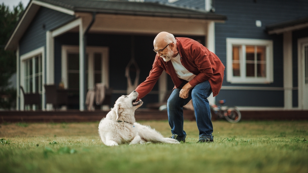 Common Dog Mistake