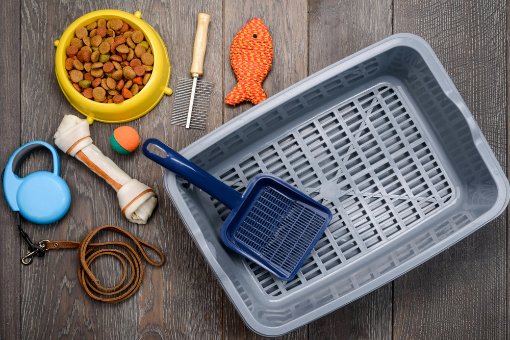 Pet Proofing
