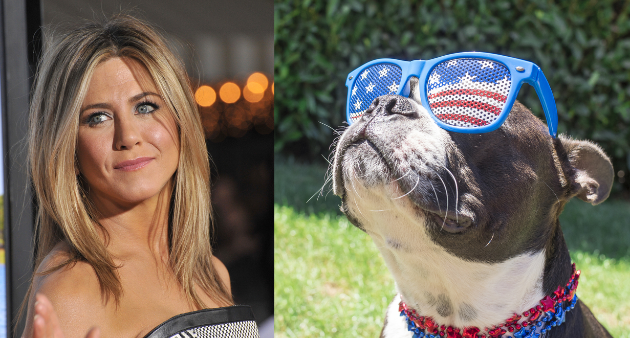 celebrity pets