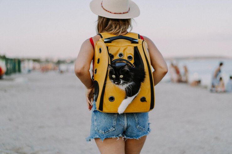 Traveling with Pets