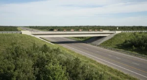 A vegetated wildlife overpass spanning a highway, with animals such as deer and elk using it.